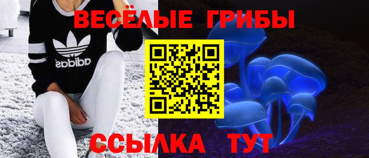 Галлюциногенные грибы GOLDEN TEACHER  сколько стоит  Омск 